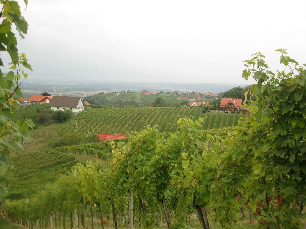 Ferienhaus Am Schlosshang Hohenbrugg an der Raab Exteriör bild